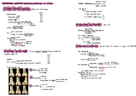 Trauma-T7.pdf