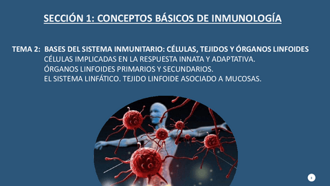 Tema-2.-Bases-del-sistema-inmunitario-celulas-tejidos-y-organos-linfoides.pdf