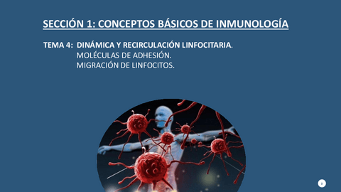 Tema-4.-Dinamica-y-recirculacion-linfocitaria.-Moleculas-de-adhesion.-Migracion-de-linfocitos.pdf
