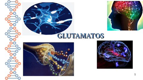 TRABAJO-NEUROTRANSMISOR-GLUTAMATO-pdf-anaaacoloma.pdf