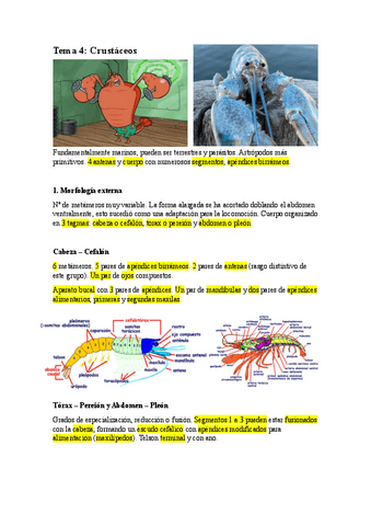 T4.-CRUSTACEOS.pdf