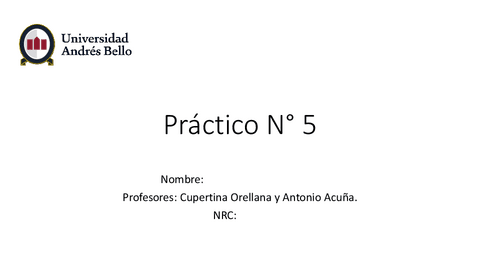 Practico-N-5..pdf