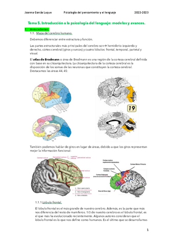 Tema-5.-Introduccion-a-la-psicologia-del-lenguaje-modelos-y-avances.pdf
