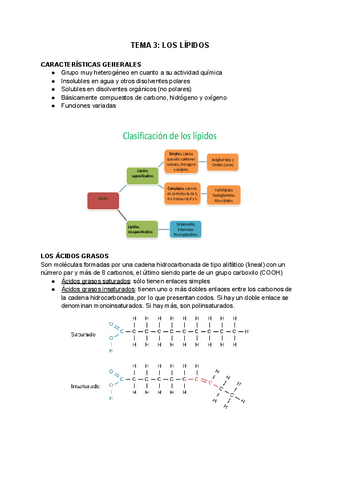 TEMA-3-LOS-LIPIDOS.pdf