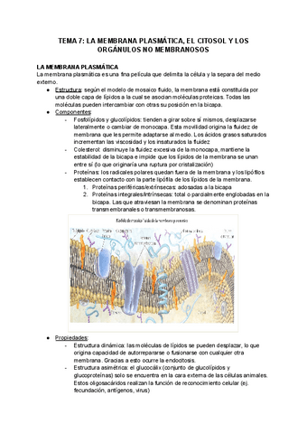 TEMA-7-LA-MEMBRANA-PLASMATICA-EL-CITOSOL-Y-LOS-ORGANULOS-NO-MEMBRANOSOS.pdf