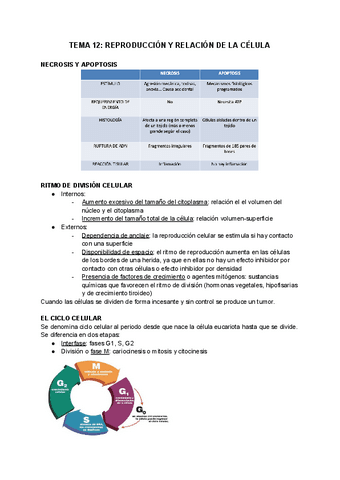 TEMA-12-REPRODUCCION-Y-RELACION-DE-LA-CELULA.pdf