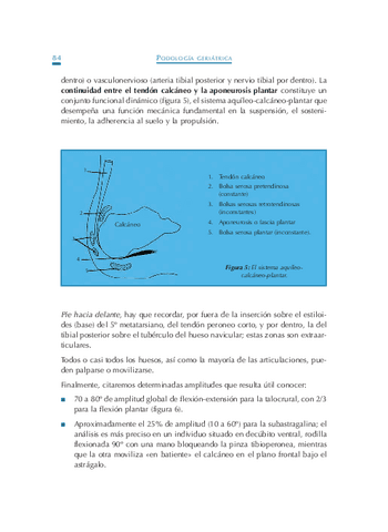 Podologia-Geriatrica-8.pdf