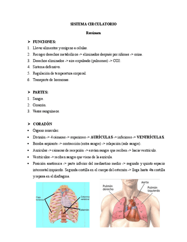 Resumen-sistema-circulatorio.pdf