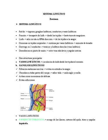 Resumen-de-Sistema-Linfatico.pdf