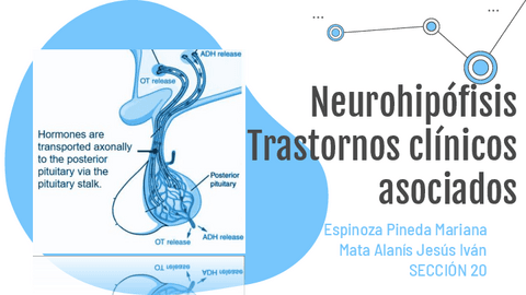 Neurohipofisis-patologia.pdf