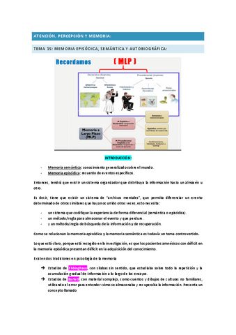 TEMA-15-APM-memoria.pdf