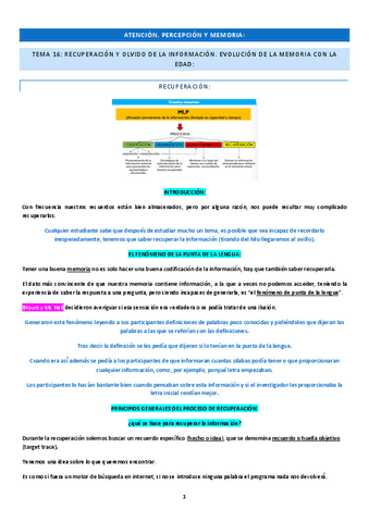 TEMA-16-apm-memoria.pdf