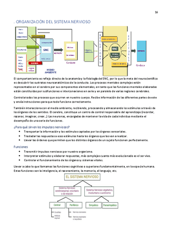 Tema-3.pdf