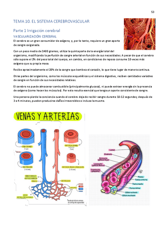 Tema-10.pdf