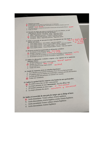 2-Parcial-ANATOMIA-EXAMEN.pdf