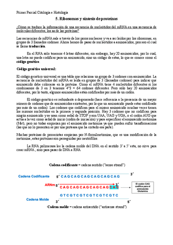 Tema-5-Citologia.pdf