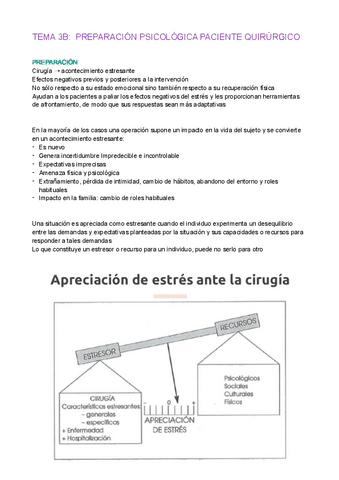 TEMA-3B.pdf