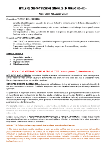 TUTELA-DEL-CREDITO-Y-PROCESOS-ESPECIALES-APUNTES.pdf