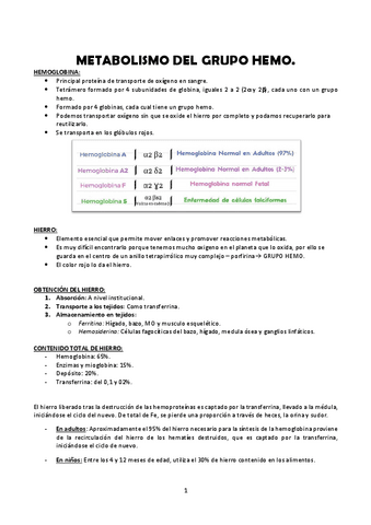 Seminario-4-Metabolismo-del-grupo-hemo-BIOQUIMICA-MEDICA.pdf