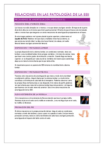 Cadenas-lesionales-Begona-22-23.pdf