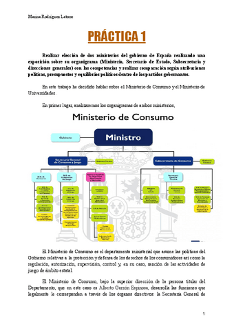 PRACTICA-1-ESTRUCTURAS-ADMINISTRATIVAS.pdf