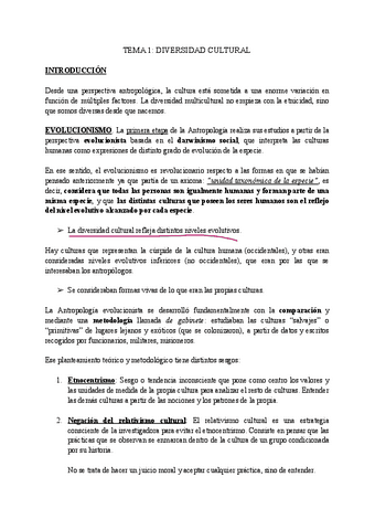etnicidad-1a-parte.pdf