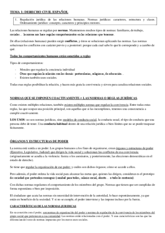 tema-1-civil.pdf