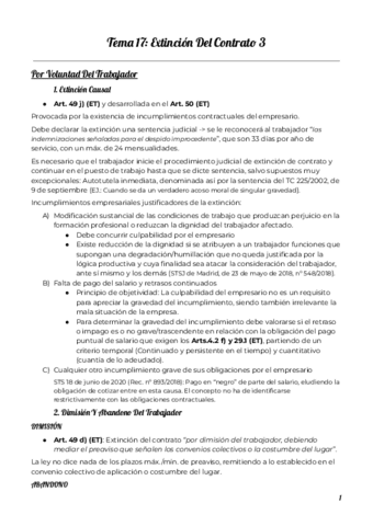 Tema-17-Derecho-Laboral.pdf