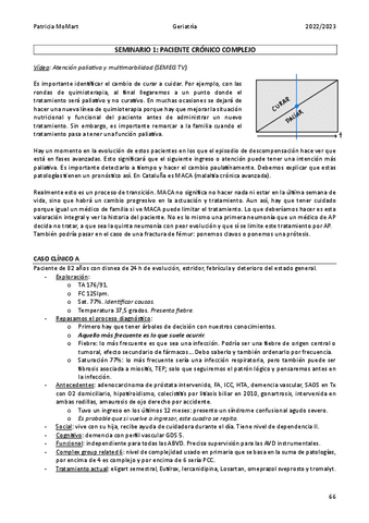 Seminarios-Geriatria.pdf