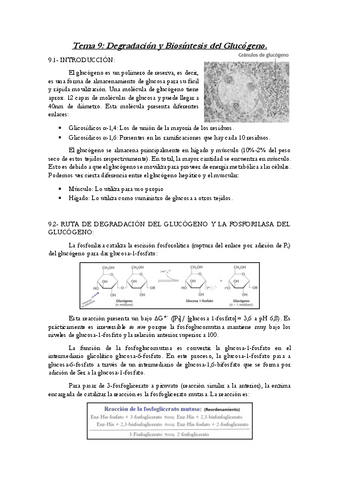 Tema-9-ByM.pdf