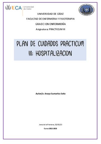 PLAN-DE-CUIDADOS-PRACTICUM-III.pdf