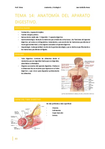 Anatomia-y-Fisiologia-II-Bloque-VI-Temas-14-15.pdf