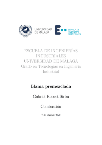 Practica7decombustion.pdf