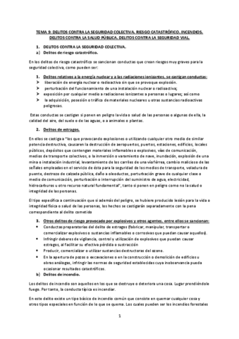 TEMA-9-PENAL.pdf