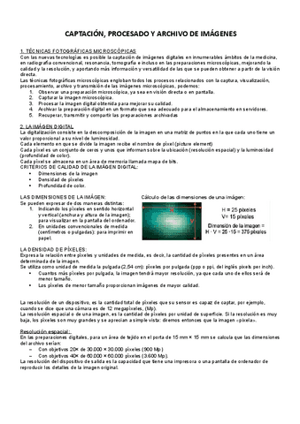 TGL-captacion-y-archivo-de-imagenes.pdf