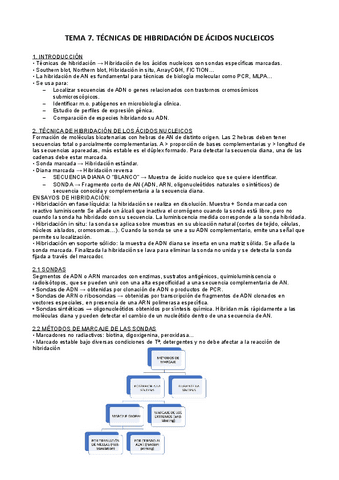 UD-7-BMC-TECNICAS-DE-HIBRIDACION.pdf