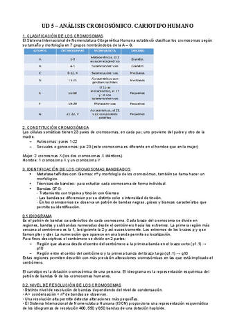 UD-5-BMC-ANALISIS-CROMOSOMICO-DEL-CARIOTIPO-HUMANO.pdf