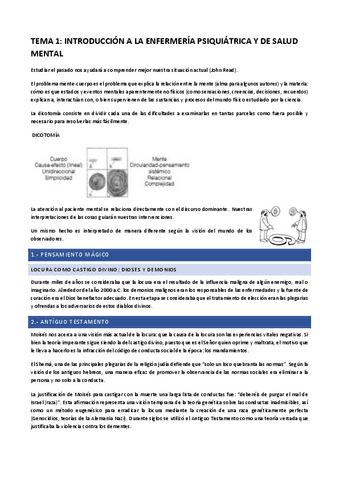 APUNTES-SALUD-MENTAL.pdf