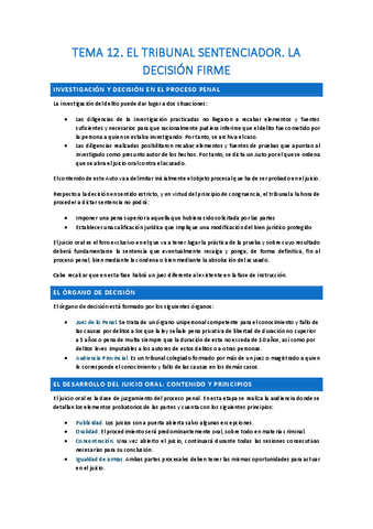 T12-El-tribunal-sentenciador.-La-decision-firme.pdf