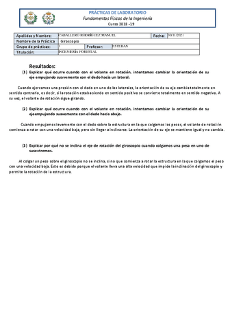 word-fisica-informe.pdf