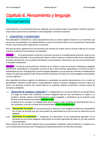 CAPITULO-6-PENSAMIENTO-Y-LENGUAJE-22-23.pdf