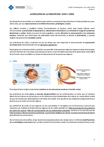 PERSONA-GRAN-TEMA-17.pdf