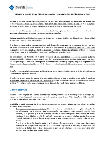 PERSONA-GRAN-TEMA-13.pdf