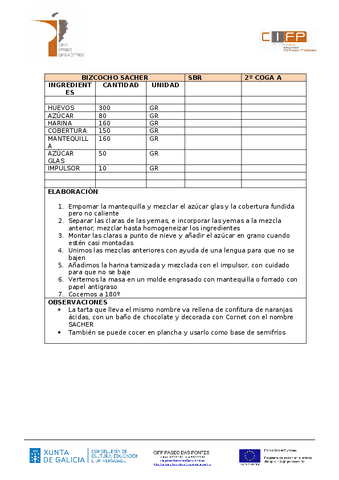 BIZCOCHO-SACHER.pdf