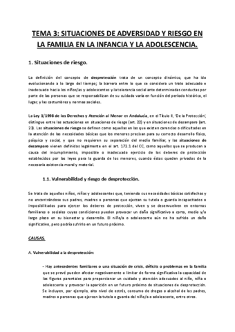 Tema-3-RIESGO.pdf
