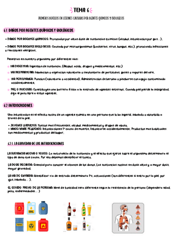 TEMA-6-Primeros-auxilios.pdf