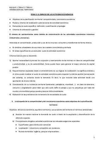 tema-5-y-6.docx.pdf