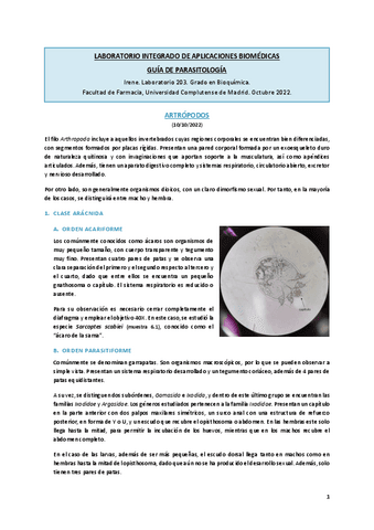 Guía-parasitología.pdf
