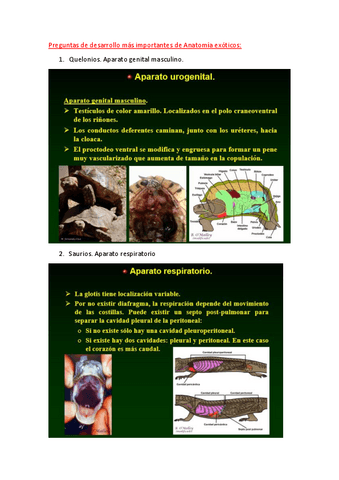 Preguntas-de-examenes-Anatomia-exoticos.pdf