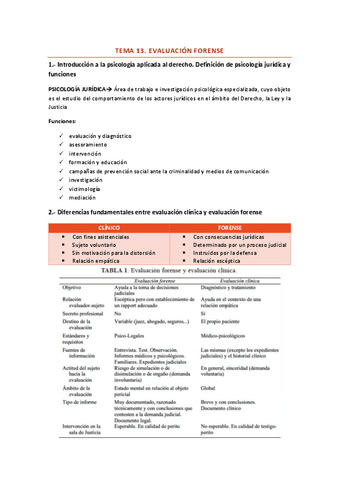 TEMA-13.-evaluacion-forense.pdf
